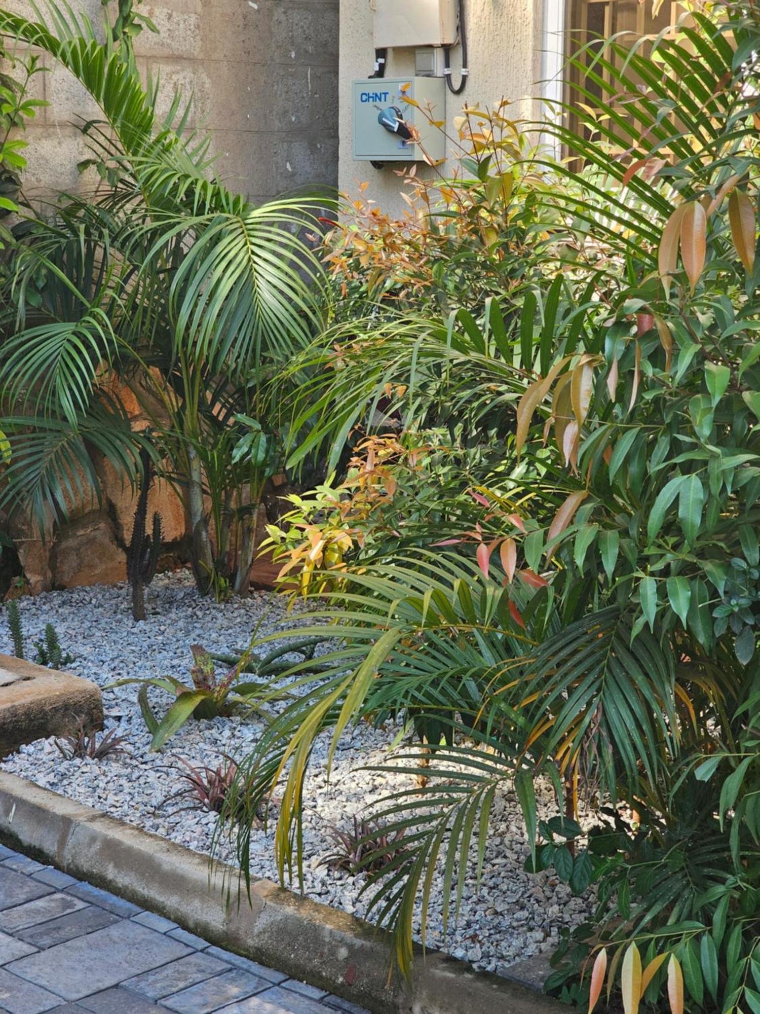 Alsander Homes Peach Bweyogerere Exteriör bild